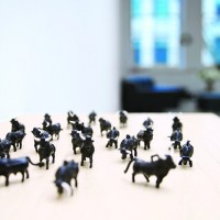 http://www.elenapardini.it/files/dimgs/thumb_1x200_1_47_109.jpg